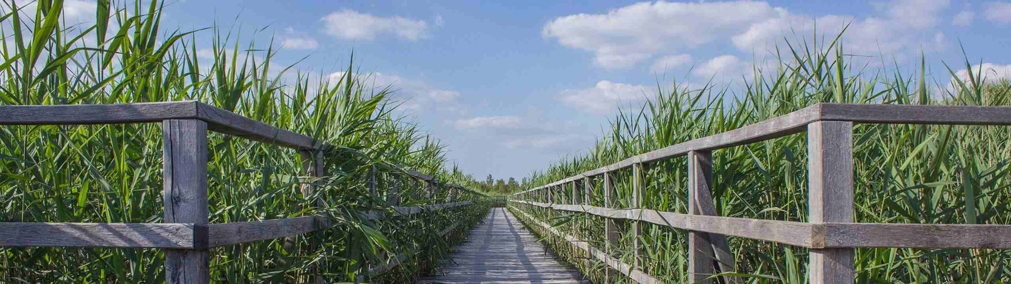 Naturweg – Ambulante Psychiatrische Pflege